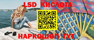 стаф Обнинск