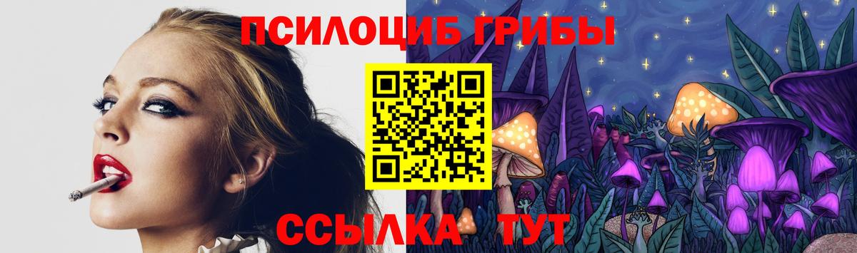продажа наркотиков  Вход с VPN  Тула  Псилоцибиновые грибы прущие грибы 