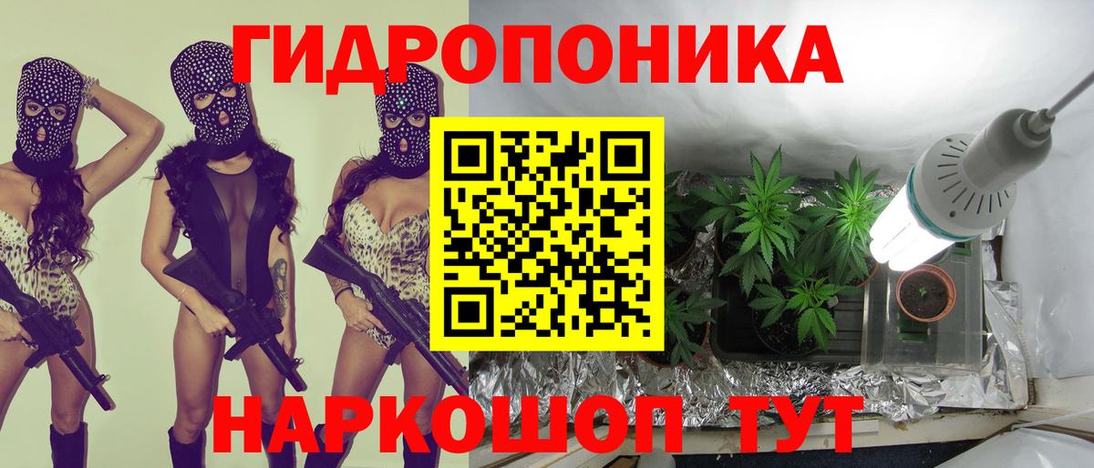 Каннабис планчик Тула